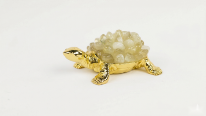 Natural Gemstone Turtle